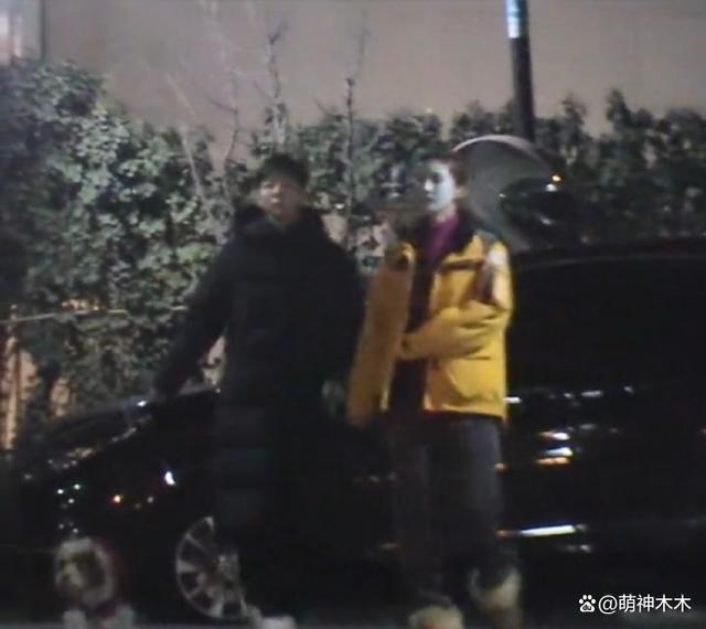 好事将近？金晨被拍带礼拜访胡夏父母，此前直言自己不结婚