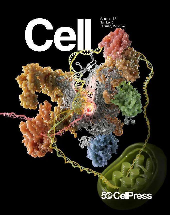 我国成功破解叶绿体基因转录机器的结构，论文登上《Cell》封面