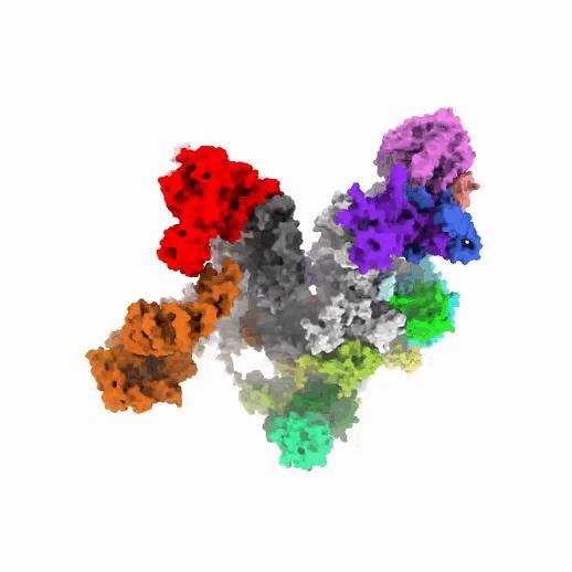 我国成功破解叶绿体基因转录机器的结构，论文登上《Cell》封面