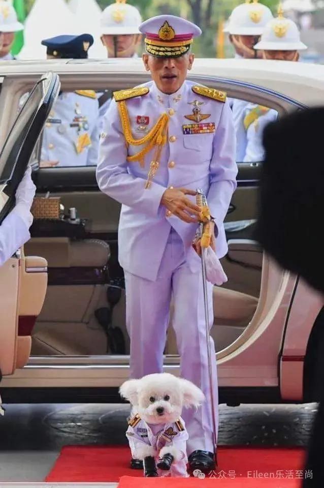 贵妃彻底失宠？9300亿王后又变美的泰王室有什么样的泼天富贵