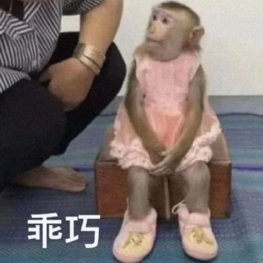 去年硬刚全场的手机，终于要杀回来了