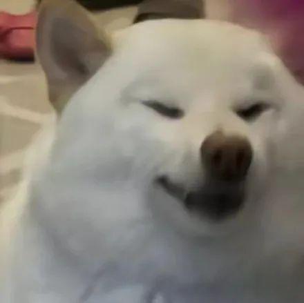 去年硬刚全场的手机，终于要杀回来了