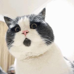 “ 整活 ”直播间又出新花样，一个比一个炸裂！