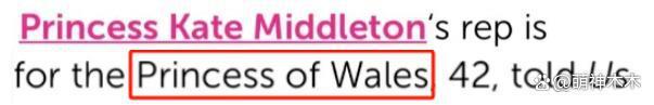 英国王室辟谣凯特王妃离世！头衔发生变化，回应被指敷衍