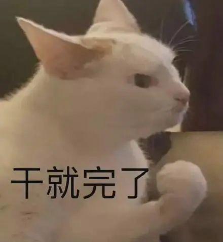 华为发布会来了，这次的新机有点猛啊