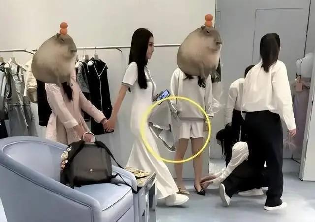 汪小菲新女友曝光：结过婚、疑似整容、还是劈腿惯犯？