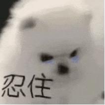 本来有无限星途的他，被造谣毁完了！