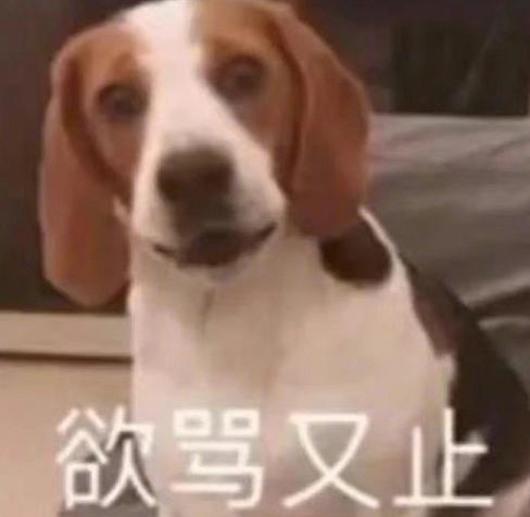 本来有无限星途的他，被造谣毁完了！