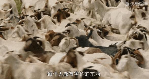 原来追梦可以这么热血！