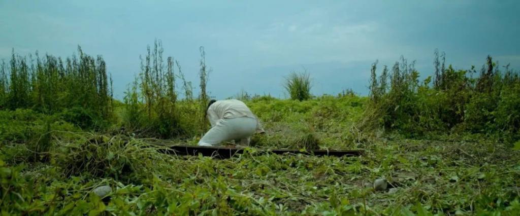 被举报后紧急删改，这片且看且珍惜