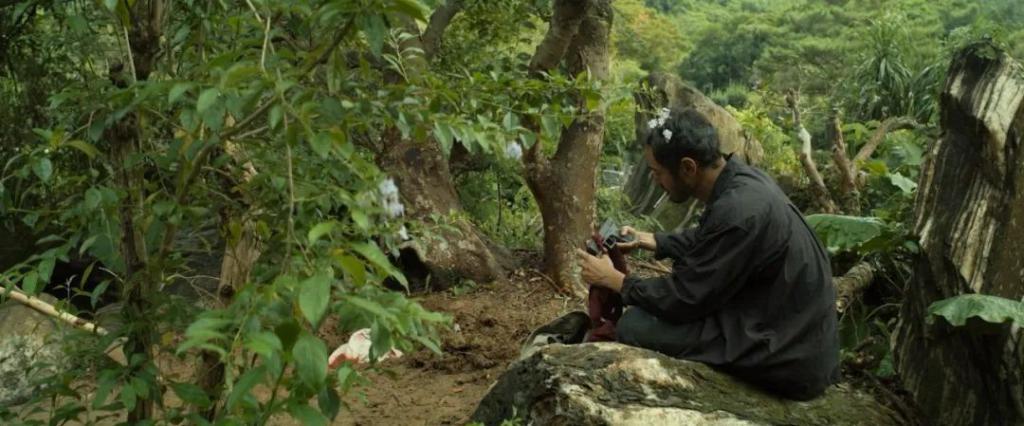 被举报后紧急删改，这片且看且珍惜