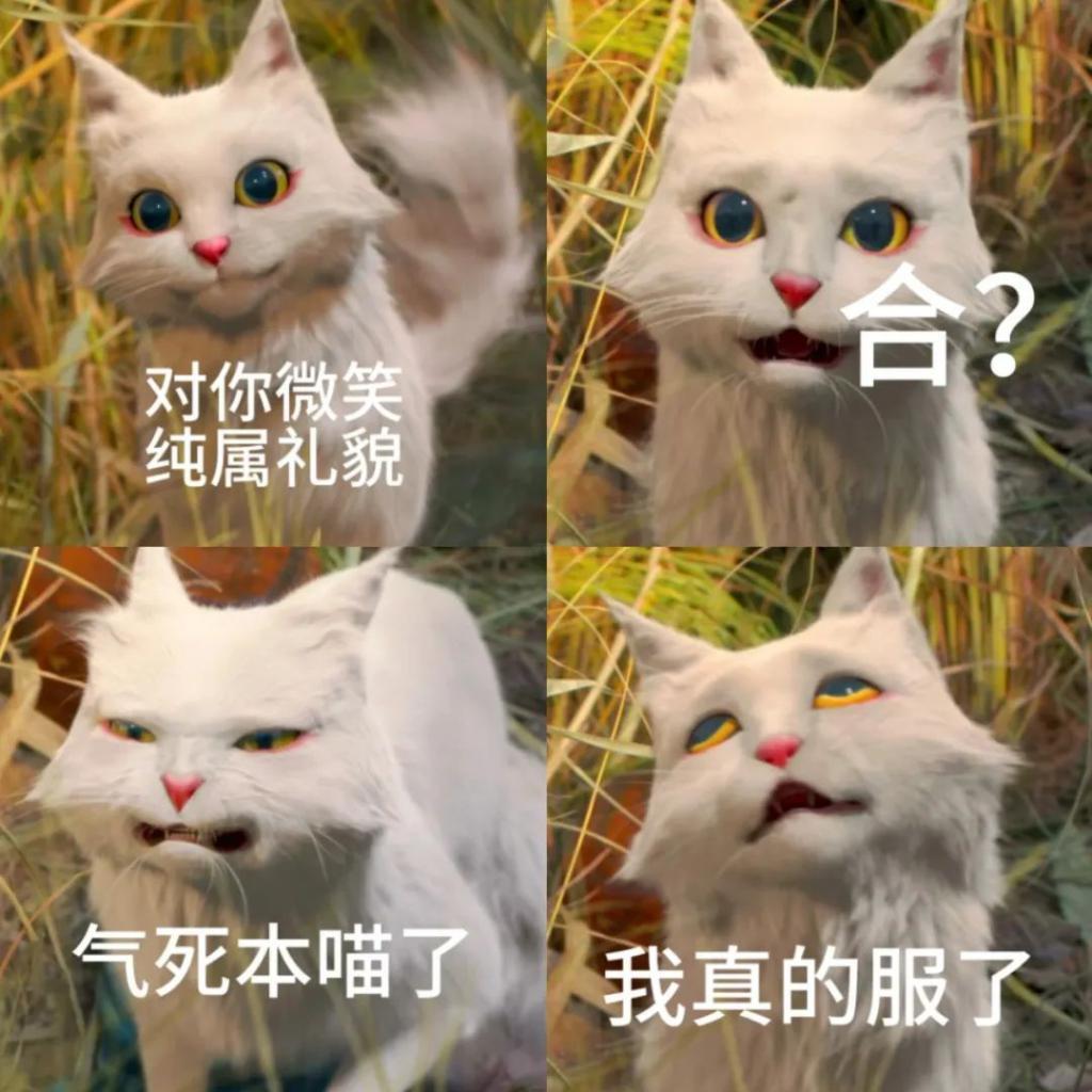 口碑国漫真人翻拍，居然真香了！