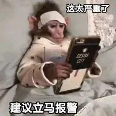 长成这样，要不咱还是别丢人了…