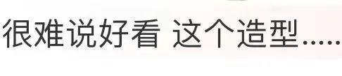 长成这样，要不咱还是别丢人了…