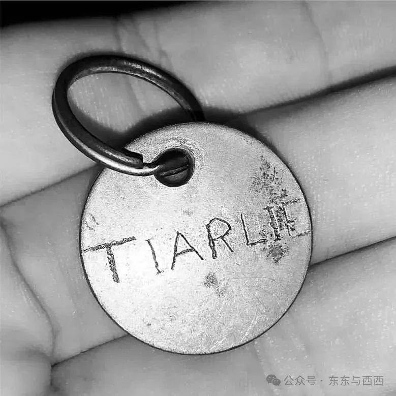 结婚12小时就想离婚，一年减肥90斤，她的生活太炸裂