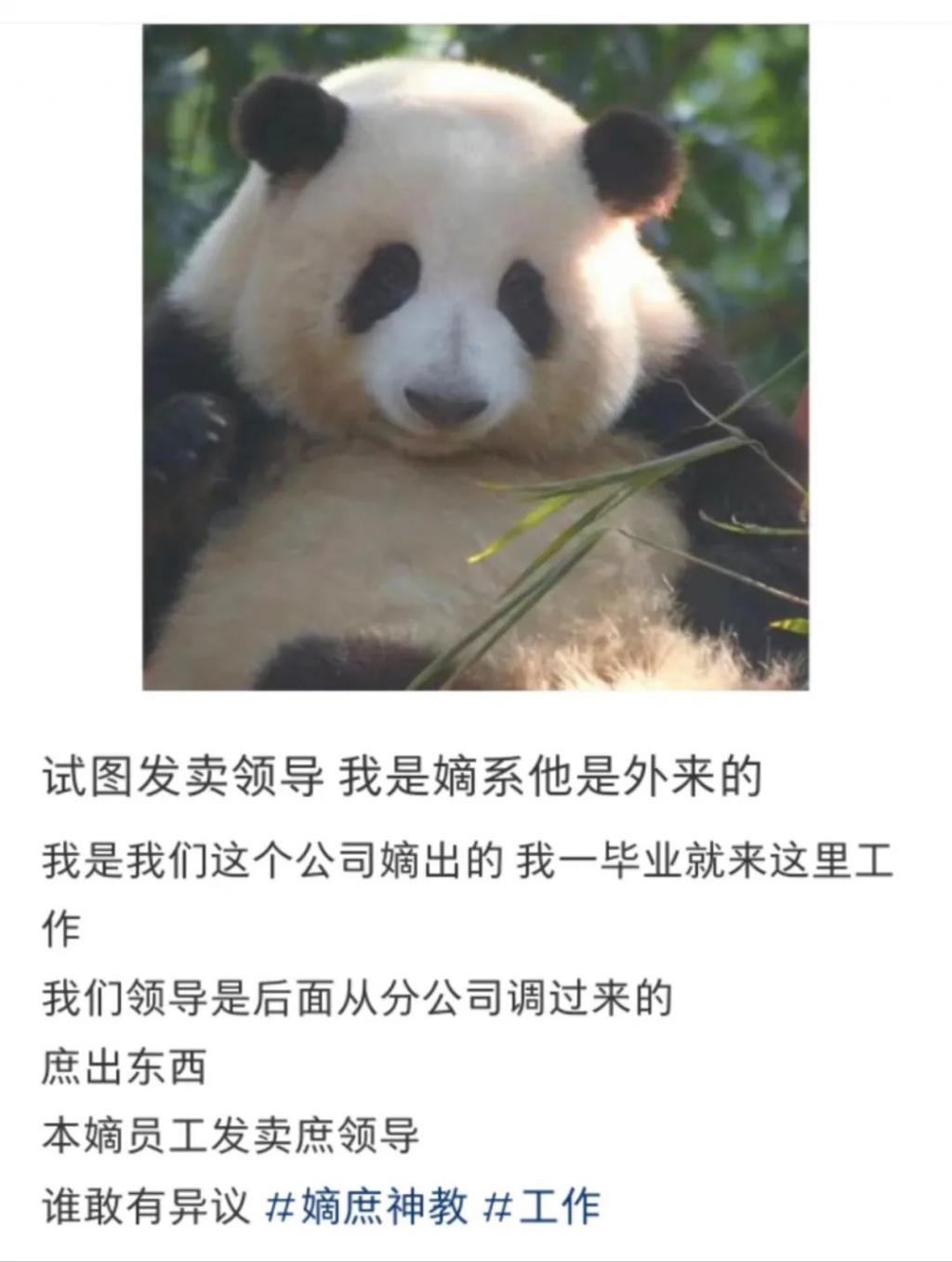 「发卖文学」又来，能不能吃点好的？