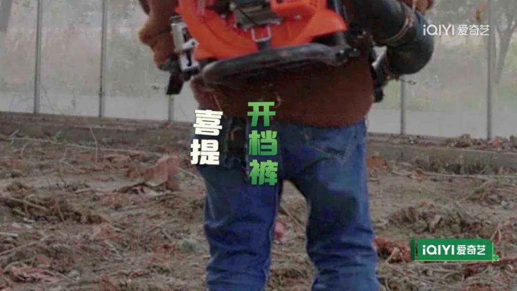一年了，他们要做大做强？