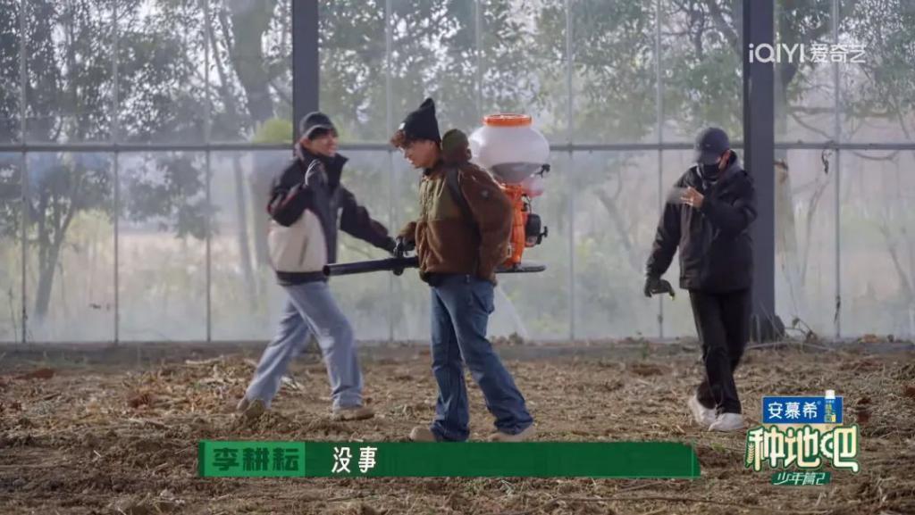 一年了，他们要做大做强？