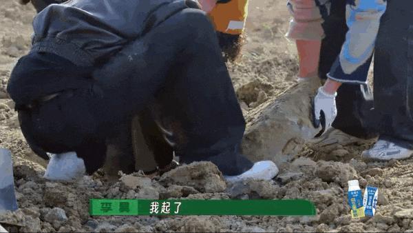 一年了，他们要做大做强？