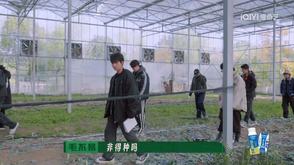 一年了，他们要做大做强？
