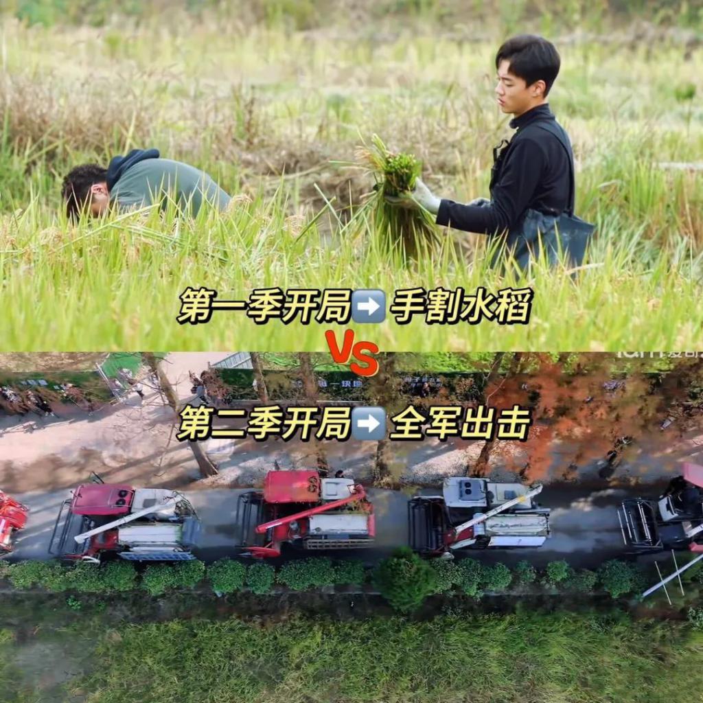 一年了，他们要做大做强？