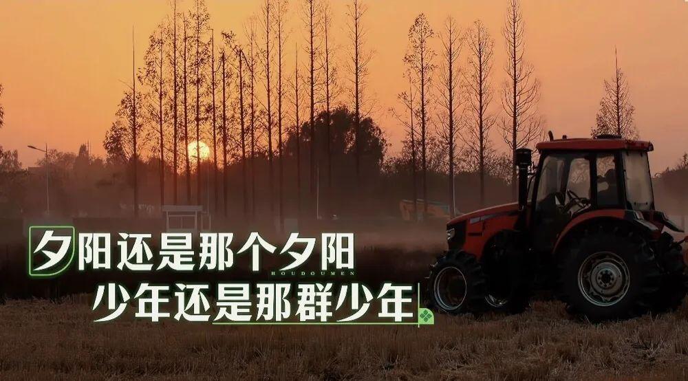 一年了，他们要做大做强？