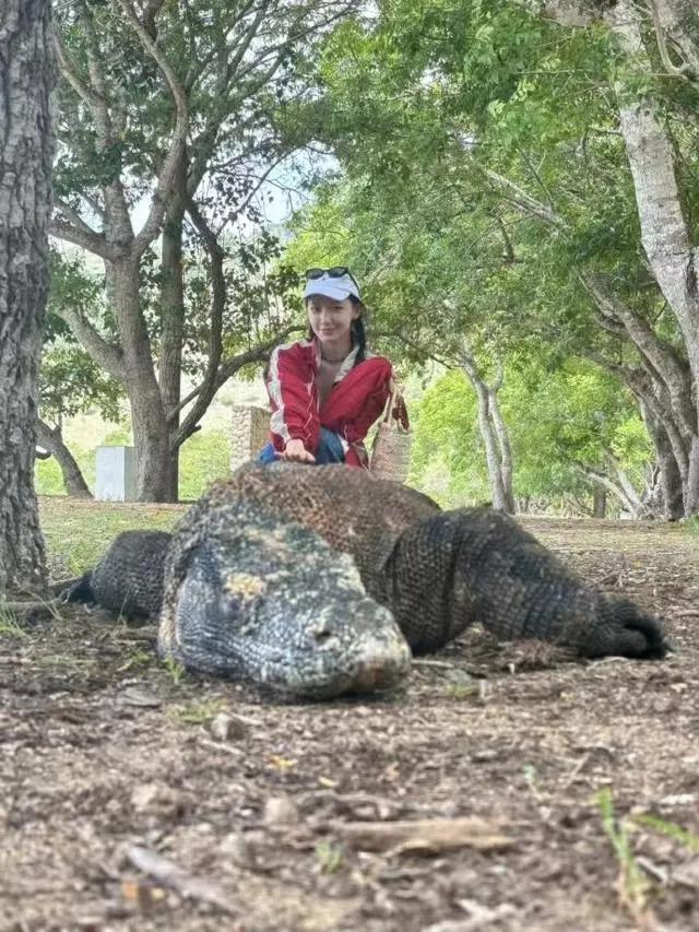 程潇晒旅游泳装！变沙滩辣妹和巨蜥合照！被网友表白示爱