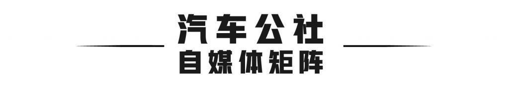 中国汽车产业还没“危”，英伟达的股价先崩了