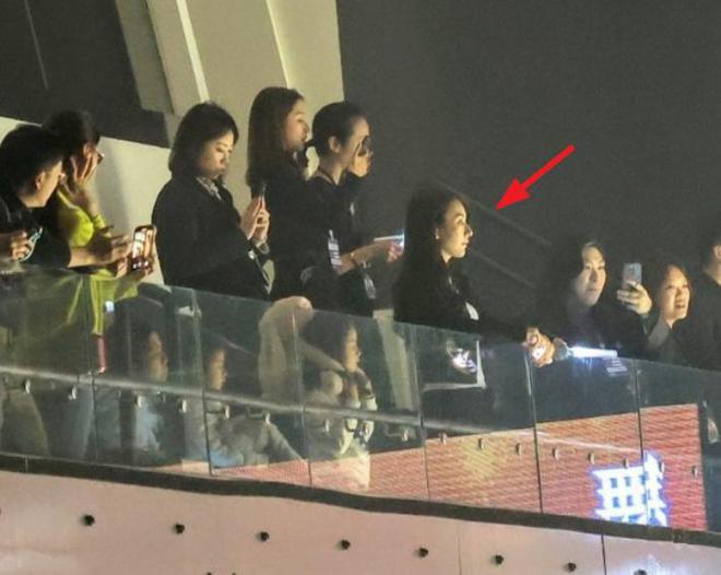 方媛全家助阵郭富城演唱会，2个女儿不停向爸爸挥手