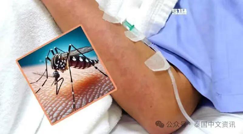 死亡率高于流感新冠！泰国超1.5万人患病！