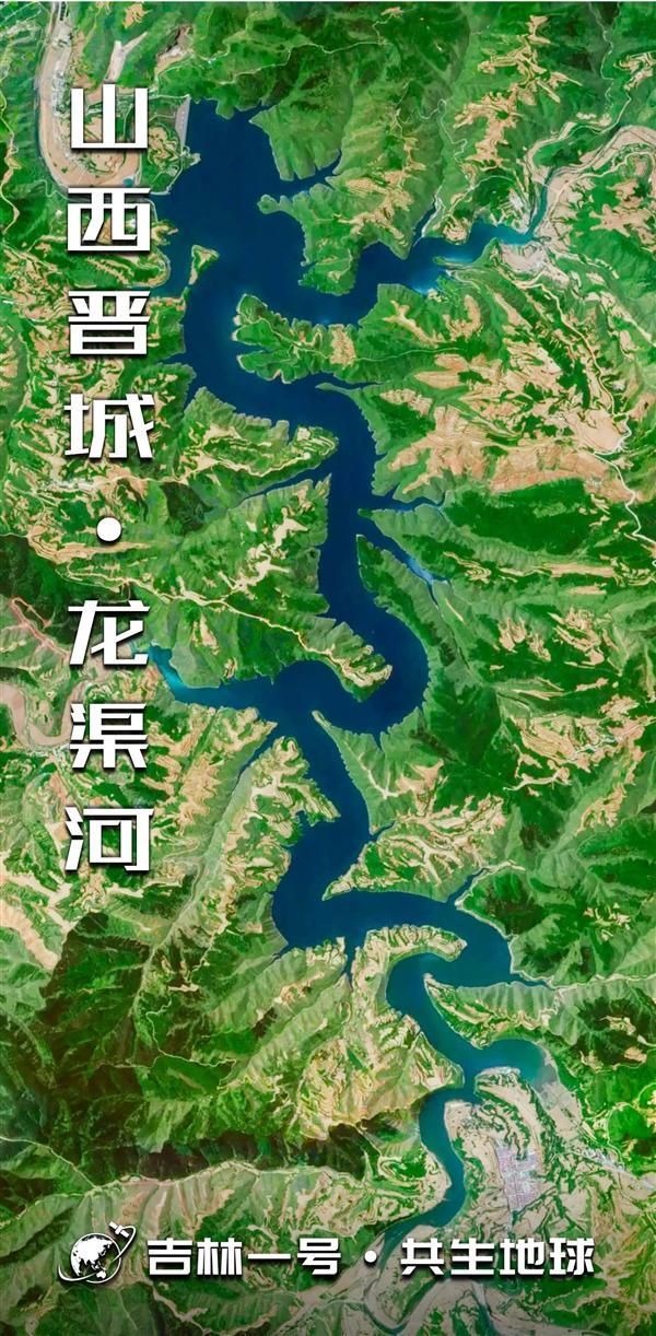 原来 地球上藏着这么多“龙”！