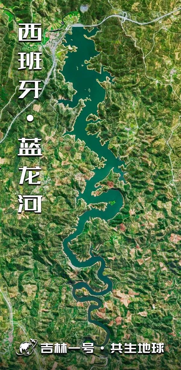 原来 地球上藏着这么多“龙”！
