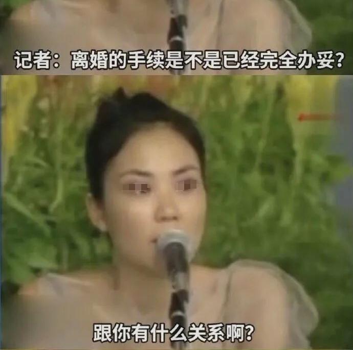 王菲谢霆锋复合之后，网友：当初怎么和李亚鹏在一起的……