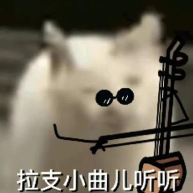 去年硬刚全场的手机，终于要杀回来了