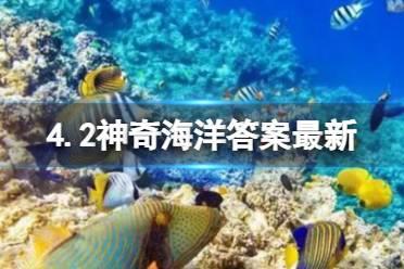 神奇海洋扇贝的正反面怎么区分 4月3日神奇海洋答案