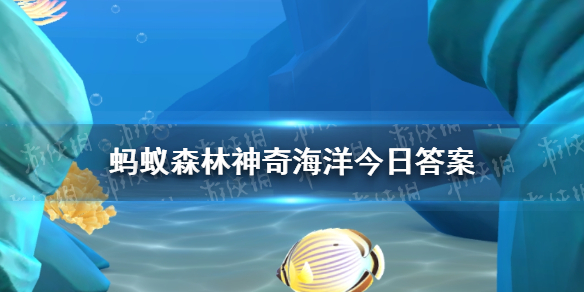 你知道吗?海星虾之所以得名，是因为 神奇海洋4月13日答案最新